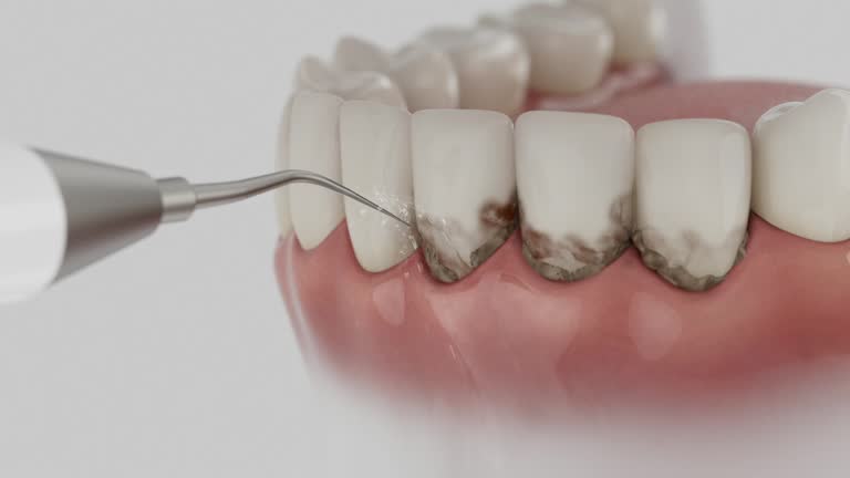 Reliable Dental contractor in Asheville, NC by Dentist Open Now